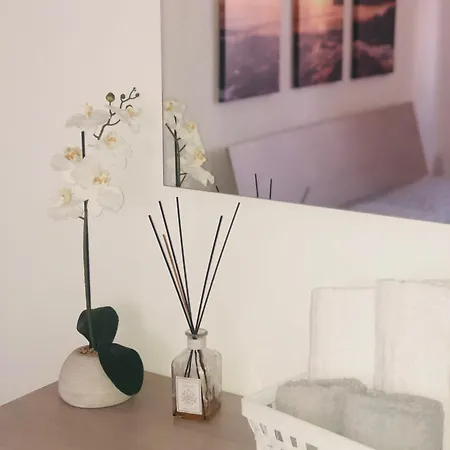 Casa Frenk